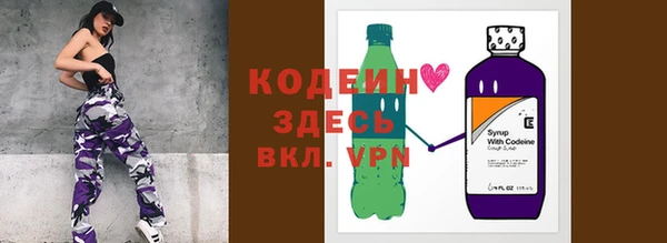 хмурый Карпинск