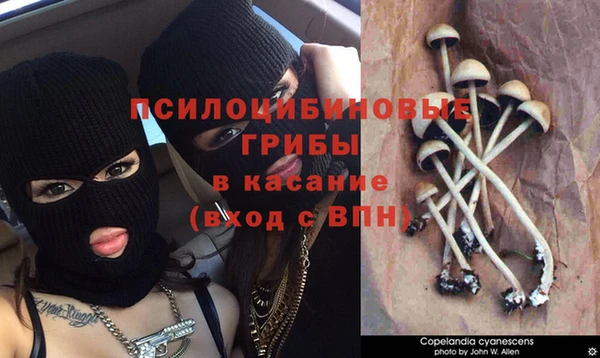 кокс Карталы