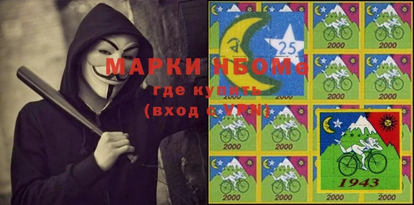хмурый Карпинск