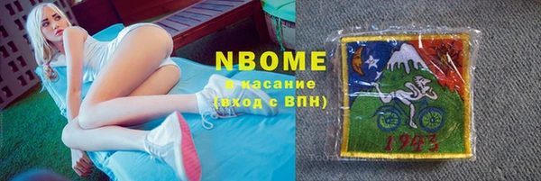хмурый Карпинск