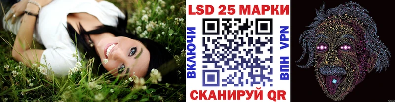 Марки NBOMe 1,5мг  Купить закладки  Петропавловск-Камчатский 