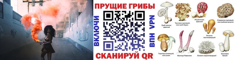 Псилоцибиновые грибы Cubensis  Купить  Петропавловск-Камчатский 