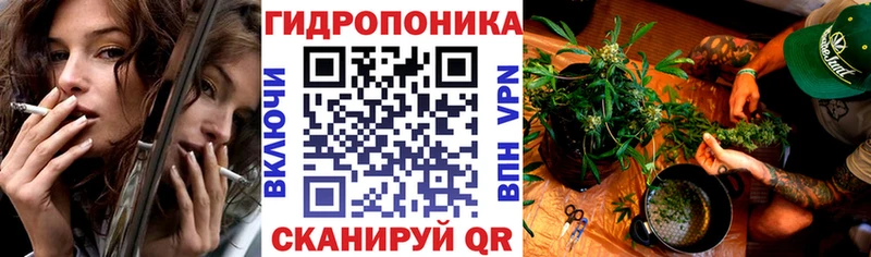 Купить закладки  Петропавловск-Камчатский  Канабис THC 21% 